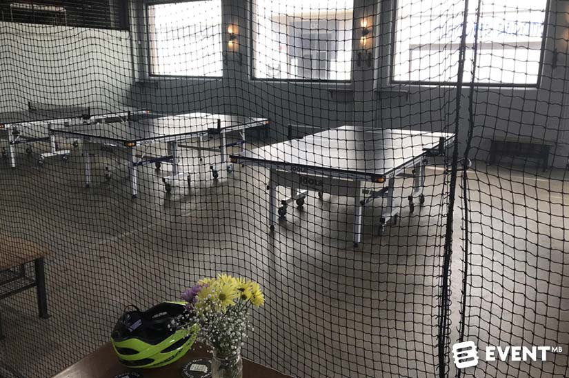 indy pingpong