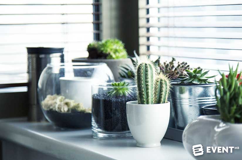 potted plants