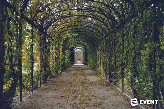 20-Affordable-Ideas-to-Give-Your-Event-the-Wow-Factor---scenary