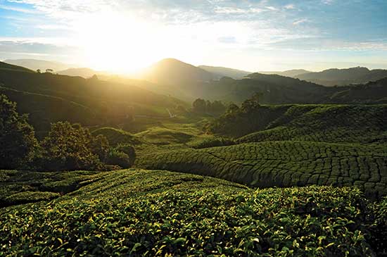 Malaysia--A-Diverse-Multicultural-Landscape-for-Events---2