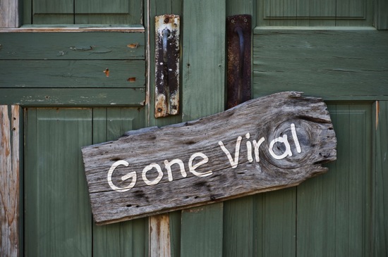 Avoid making viral videos