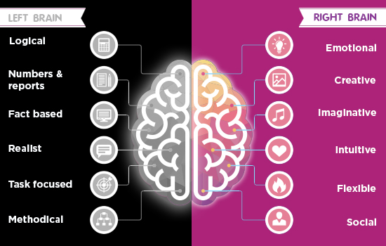 brain