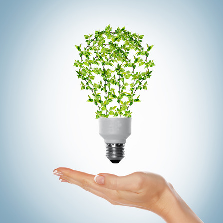 Event sustainability