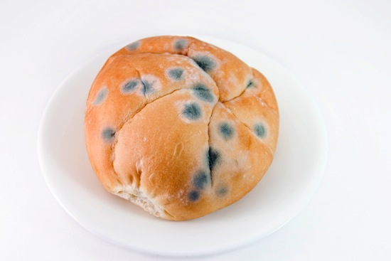 Rotten food