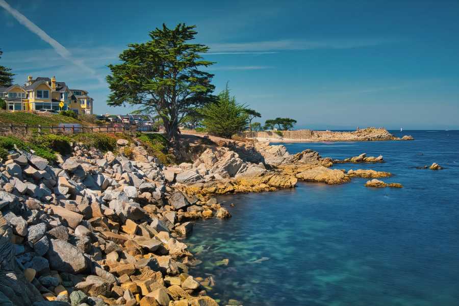 Monterey Sustainability